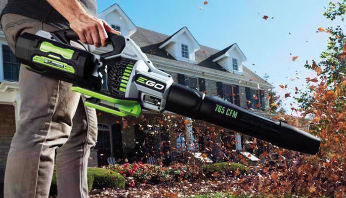 Handheld Leaf Blower