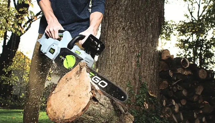 Ego Chainsaw Dealer