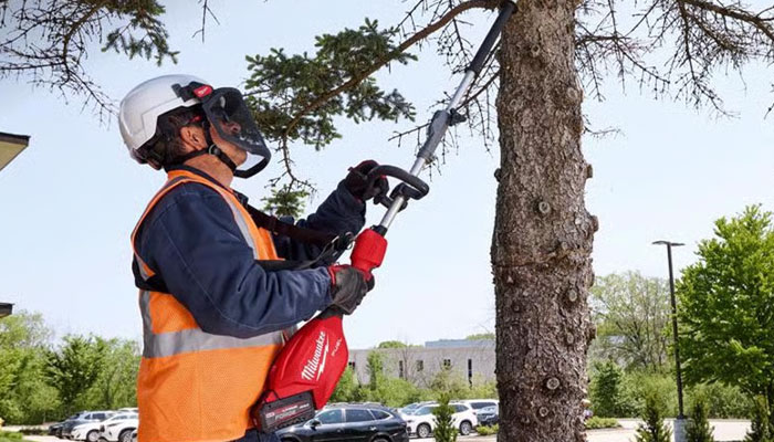 Gas Pole Saw